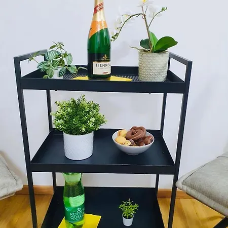 Leon 3 Wunderschönes Neues *