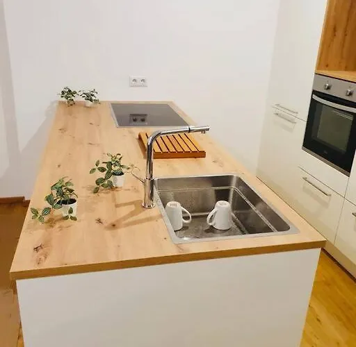 Leon 3 Wunderschoenes Neues * Linz